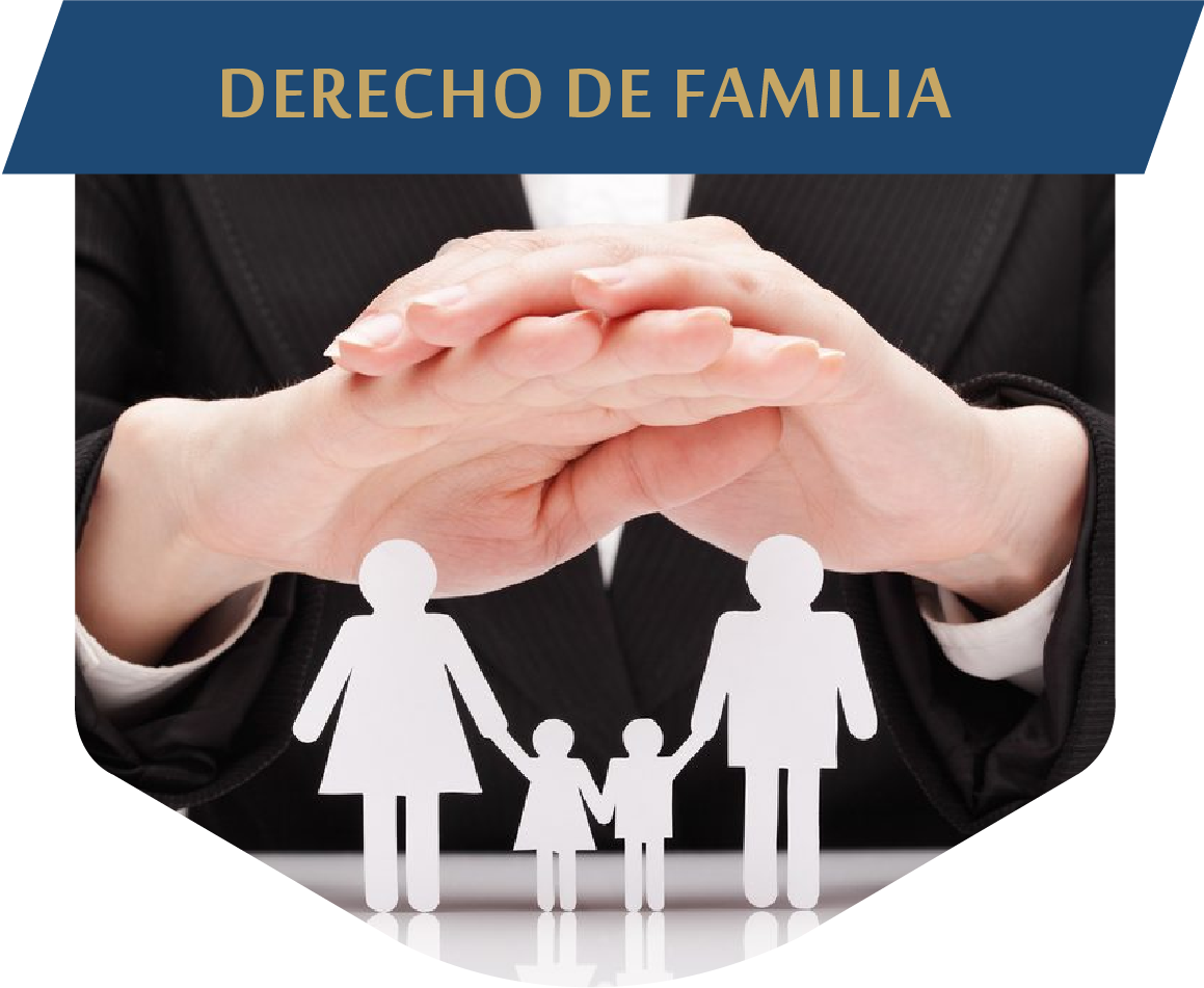 derechodefamilia