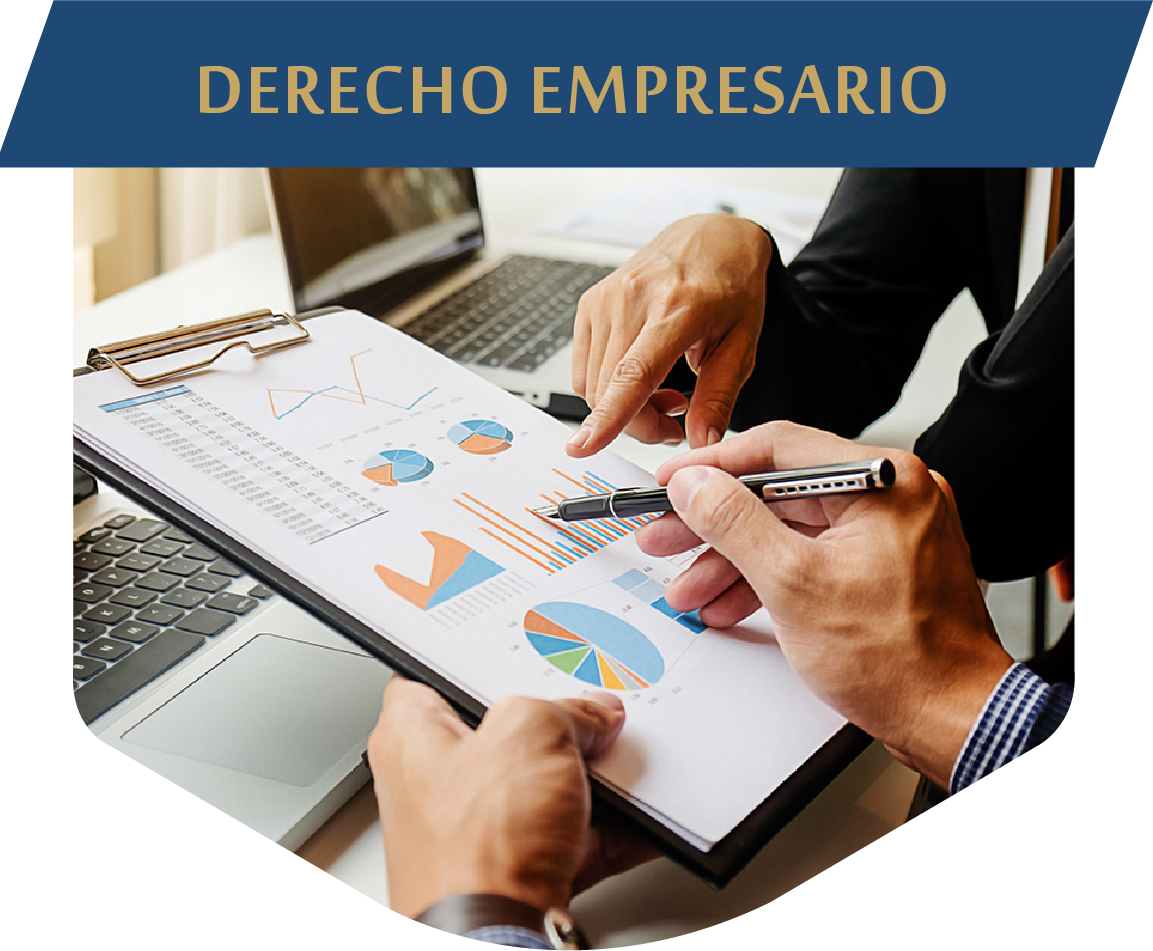 derecho empresario